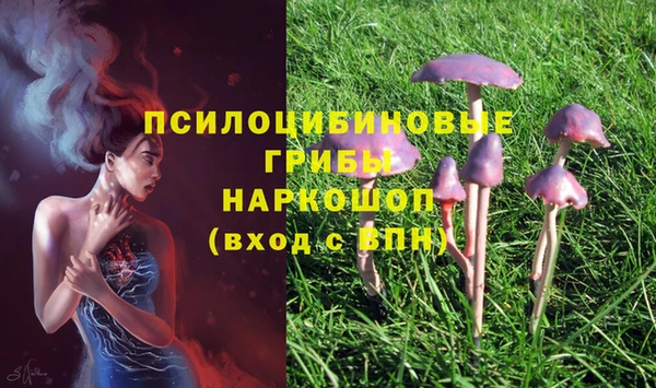 хмурый Саяногорск